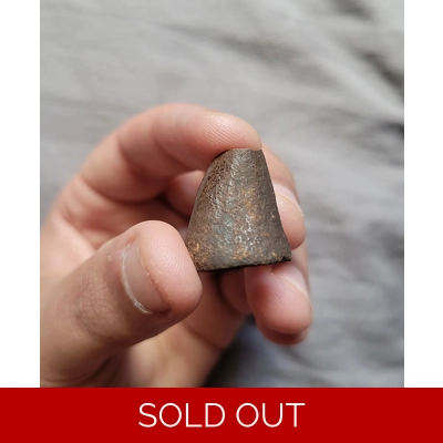 RARE MOSASAURUS DINOSAUR AGE REPTILE TOOTH FOSSIL FROM THE CAROLINAS RARE MOSASAURUS DINOSAUR AGE REPTILE TOOTH FOSSIL FROM THE CAROLINAS
